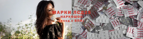 стафф Горняк