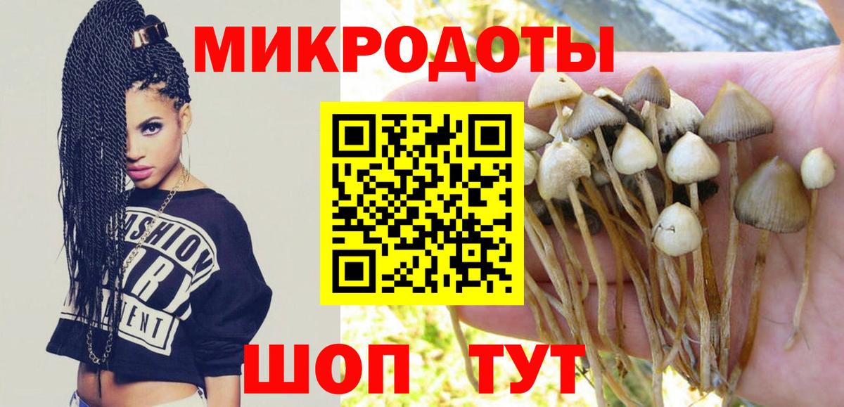 Псилоцибиновые грибы Magic Shrooms Острогожск