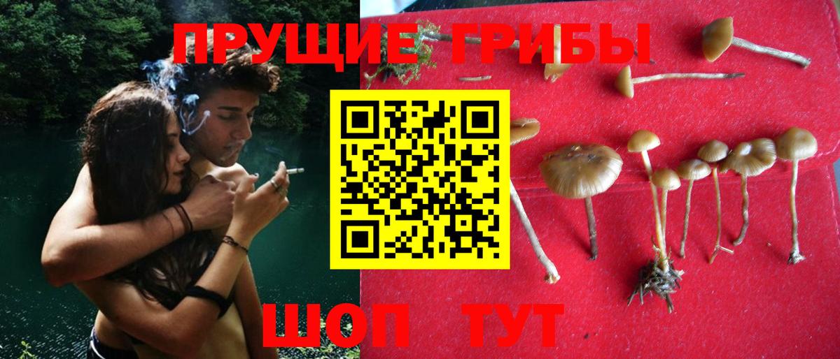 Псилоцибиновые грибы мицелий  Вход с VPN  Псилоцибиновые грибы Psilocybe  Острогожск 